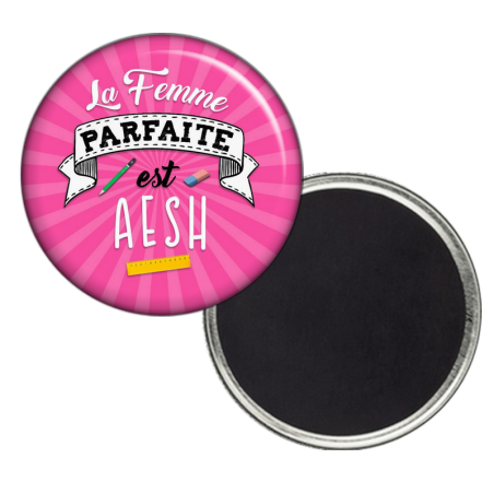       Magnet AESH
    