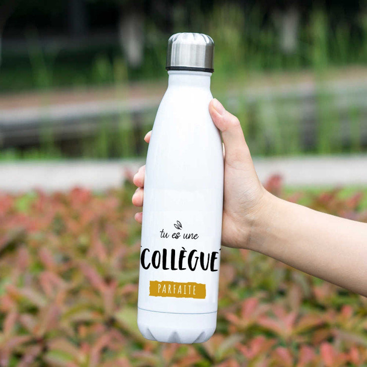 Bouteille isotherme collégue de travail - idée cadeau - Bouteille thermos et gourde